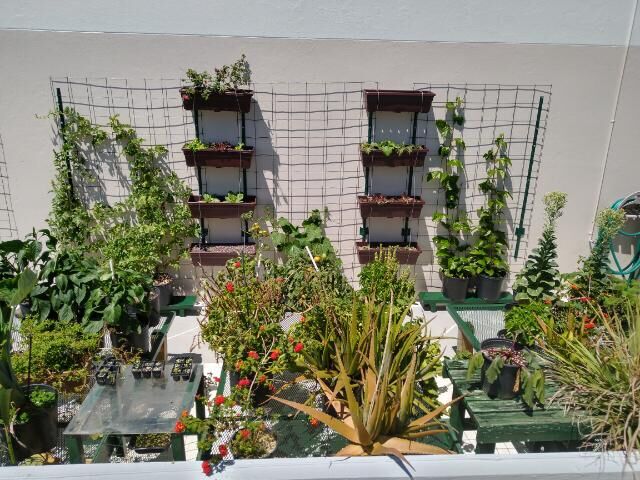 farming